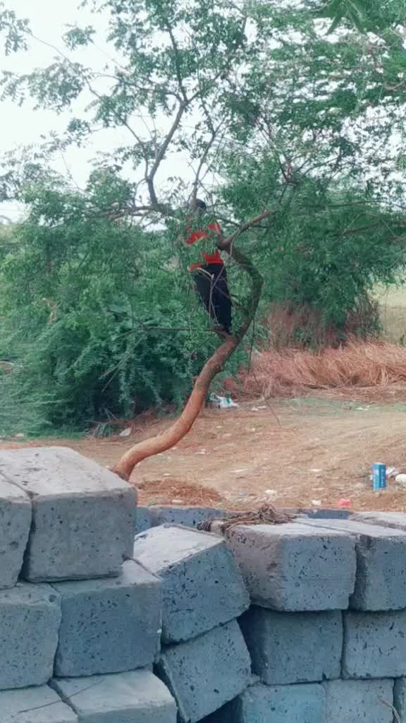 @Swathi Suresh Perla