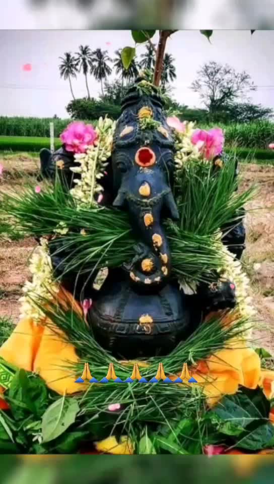 @user53001516660
