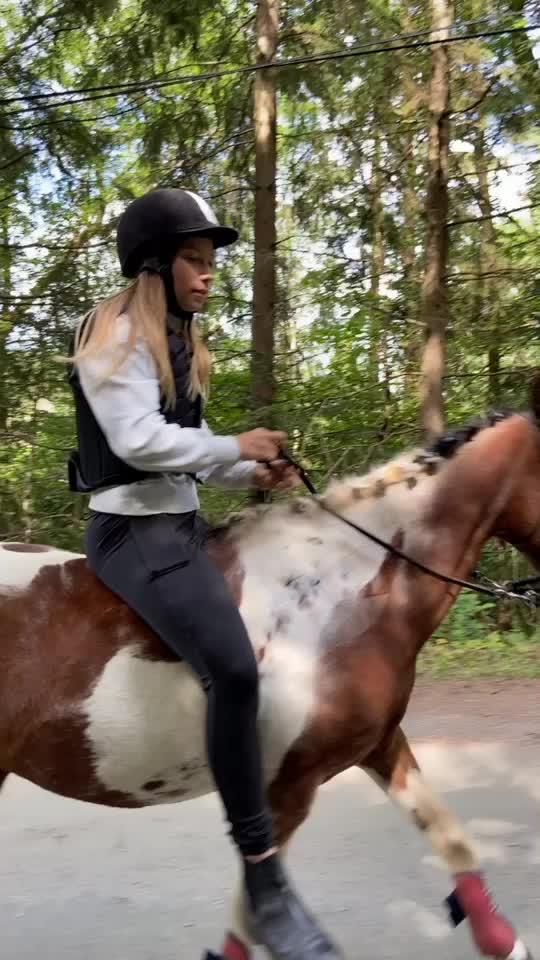 @Hästar