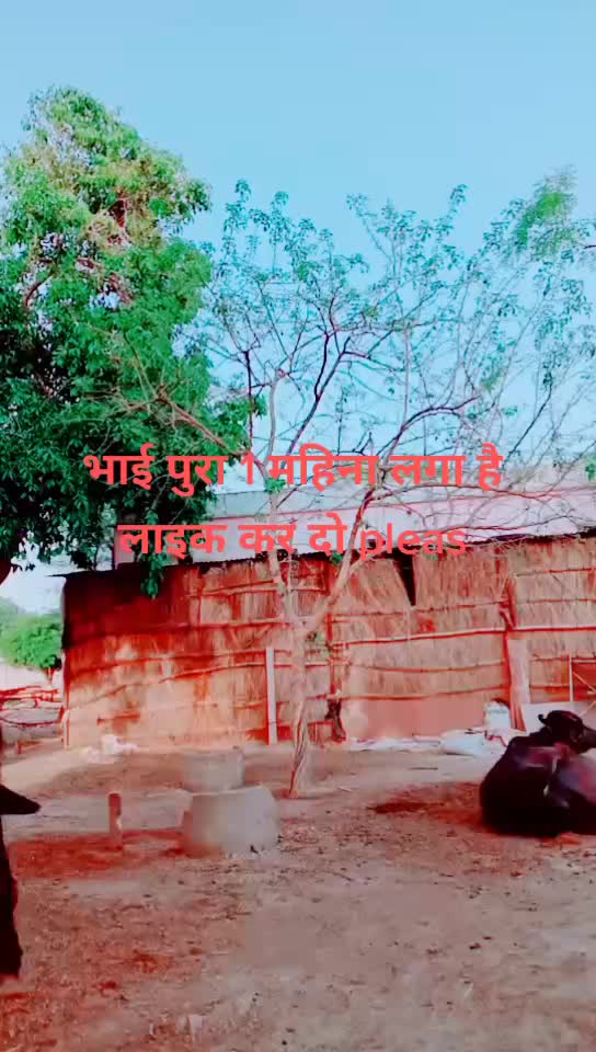 @kiran saini manpur 1