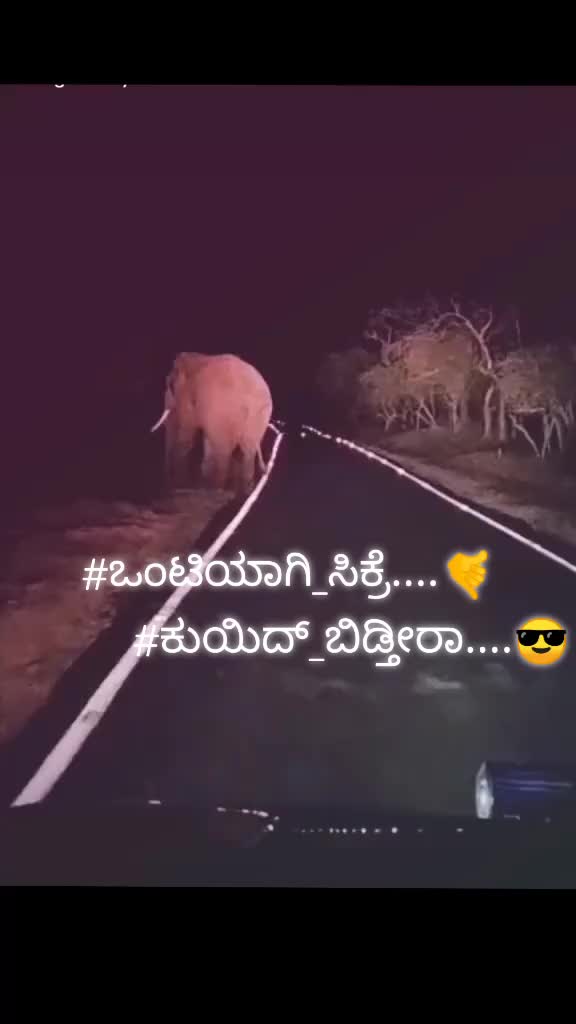 @Akilgowda