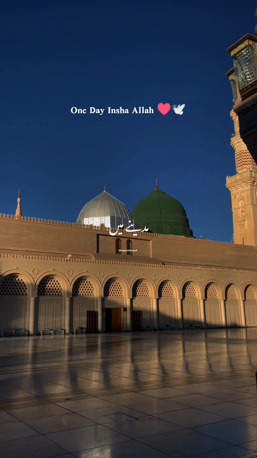 @Amna Mir❥
