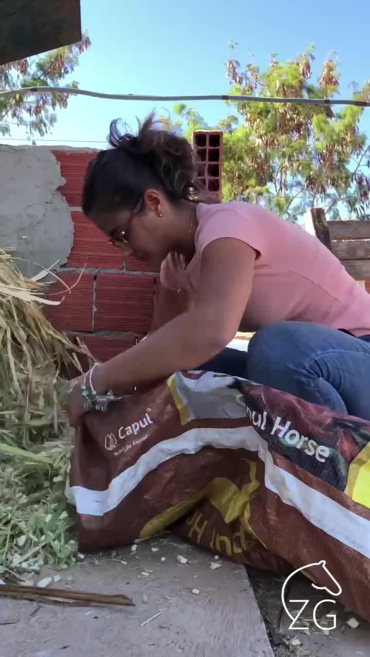 @Haras Z&eacute; Galego
