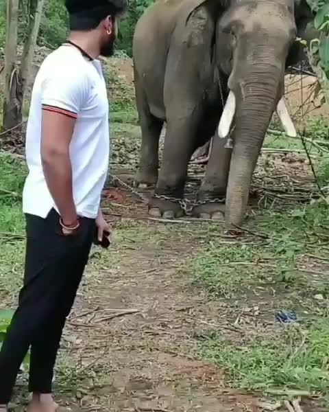 @ಹಾಸನ್_ಹುಡ್ಗ💥