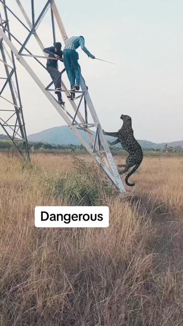 @MUGISHA NGABO NTWARI