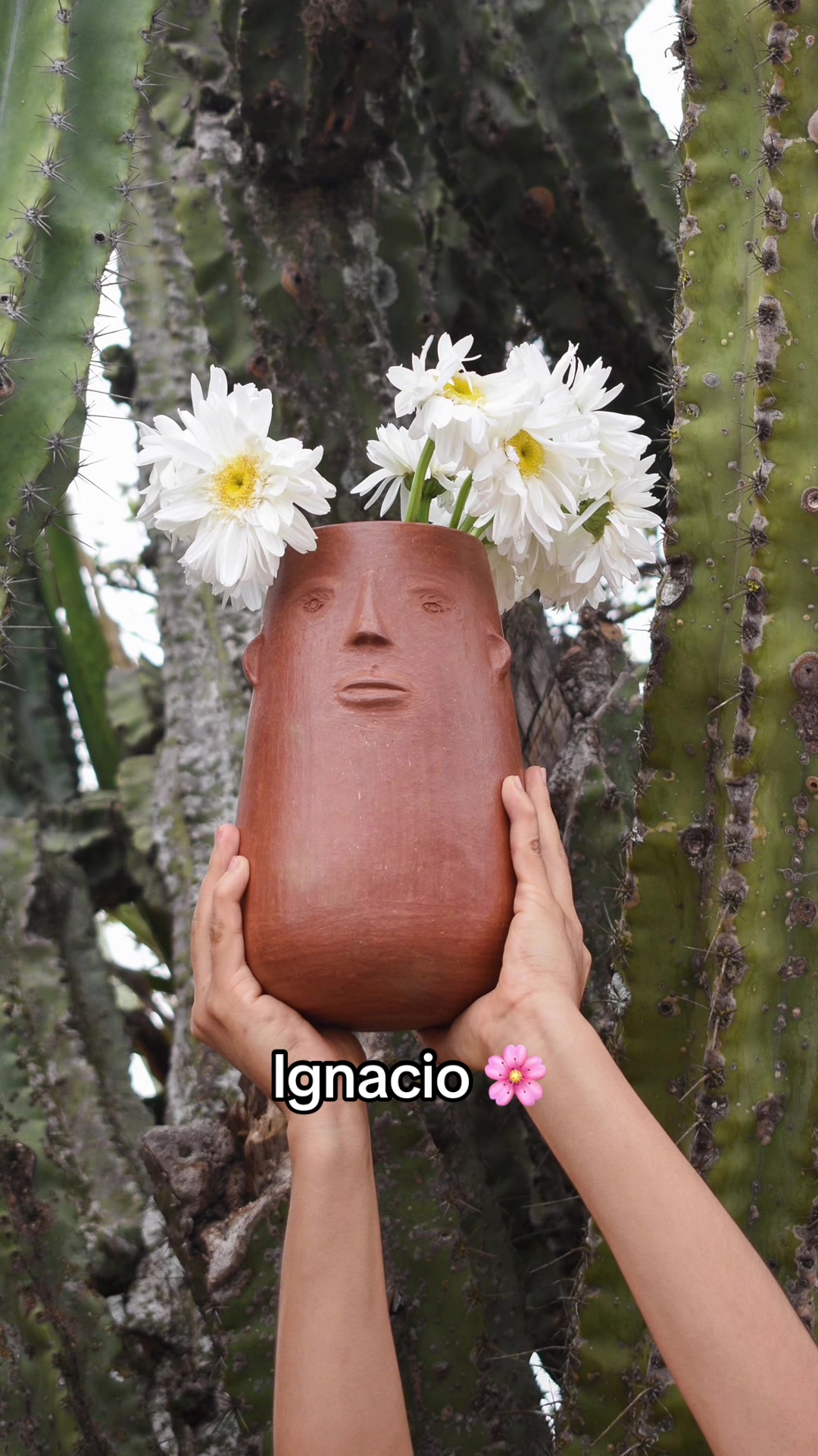 @tendajondebarro