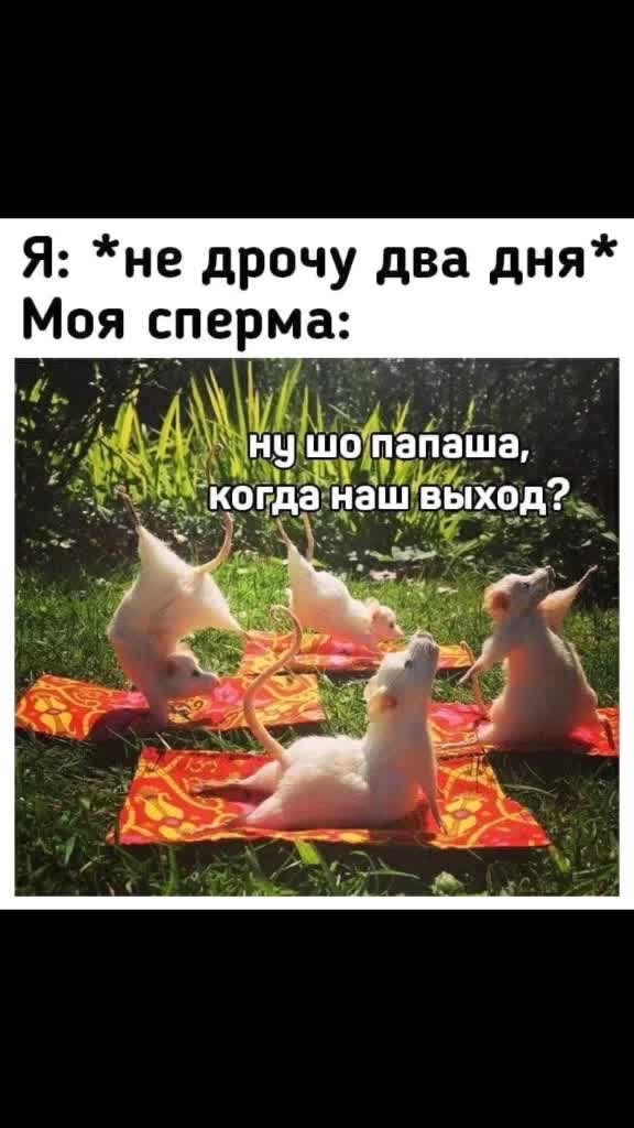 @sex_mems