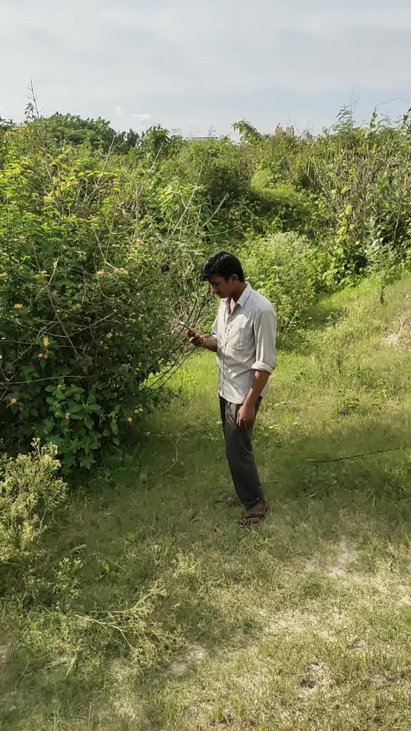 @Tanveer Tanveer