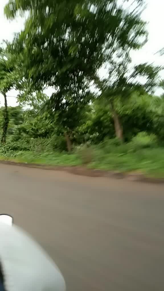 @🙏जय आदिवासी 🙏