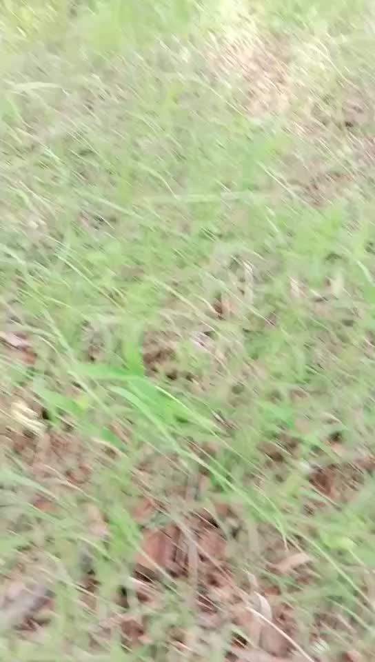 @Gadhavi raj