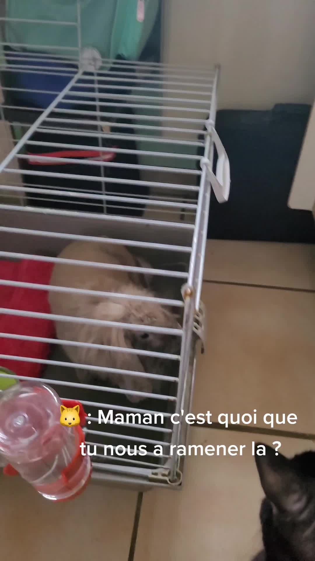 @Alexiia_🤍