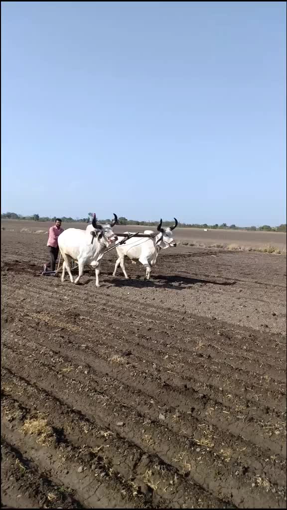 @Hardik8920