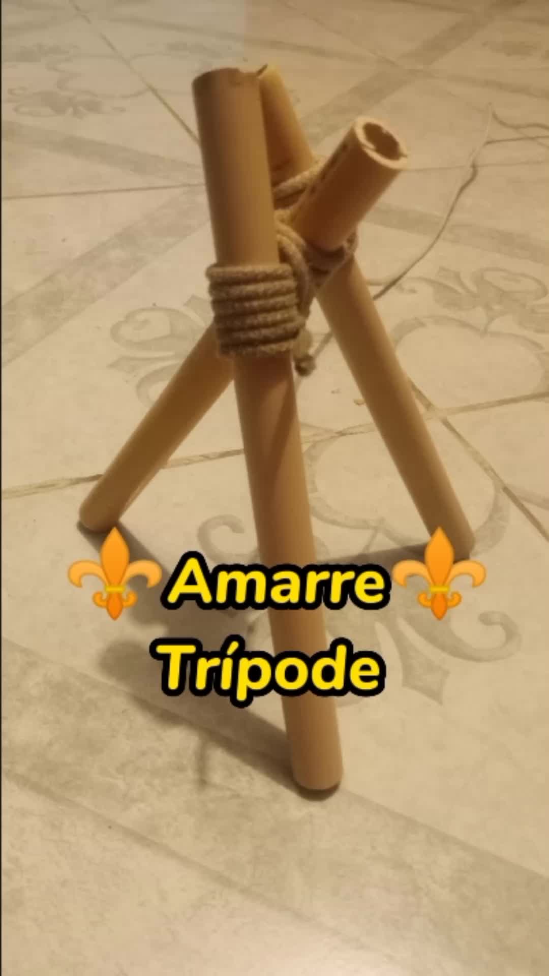 @Jesus Antonio Zamora
