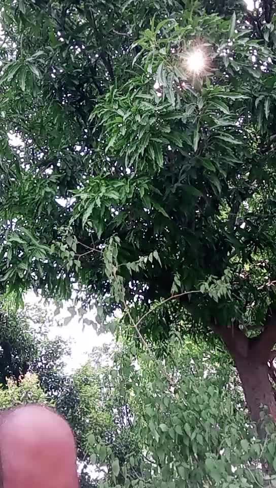 @Ramshekhar Singh