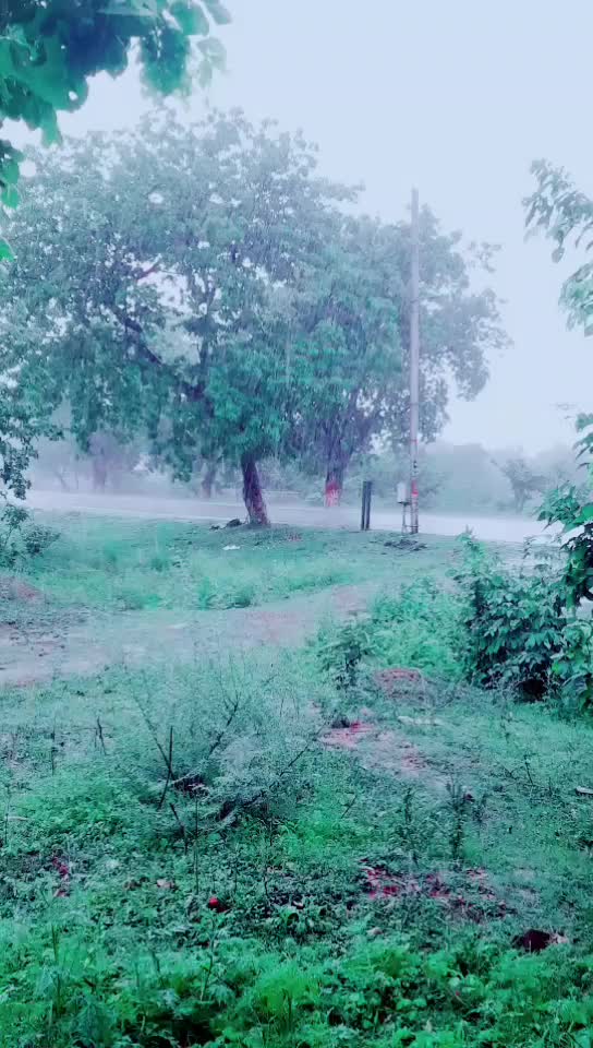 @labbu_jaan_(N)😘🤔