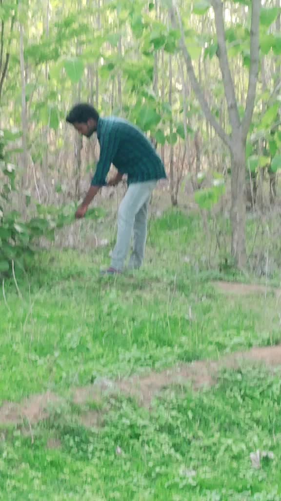 @Singarapu Saikumar