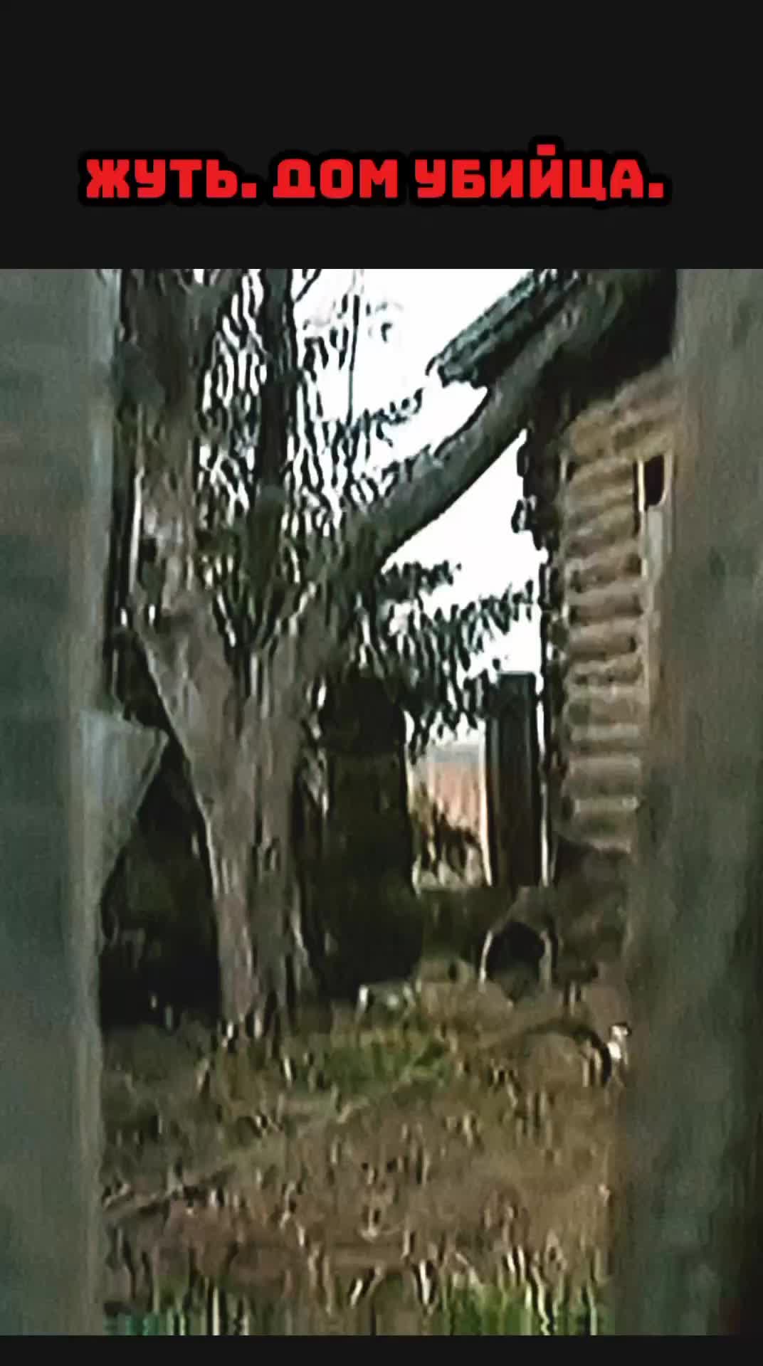 @criminalniyplan