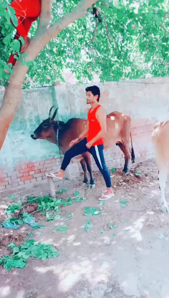 @Aashu Yadav