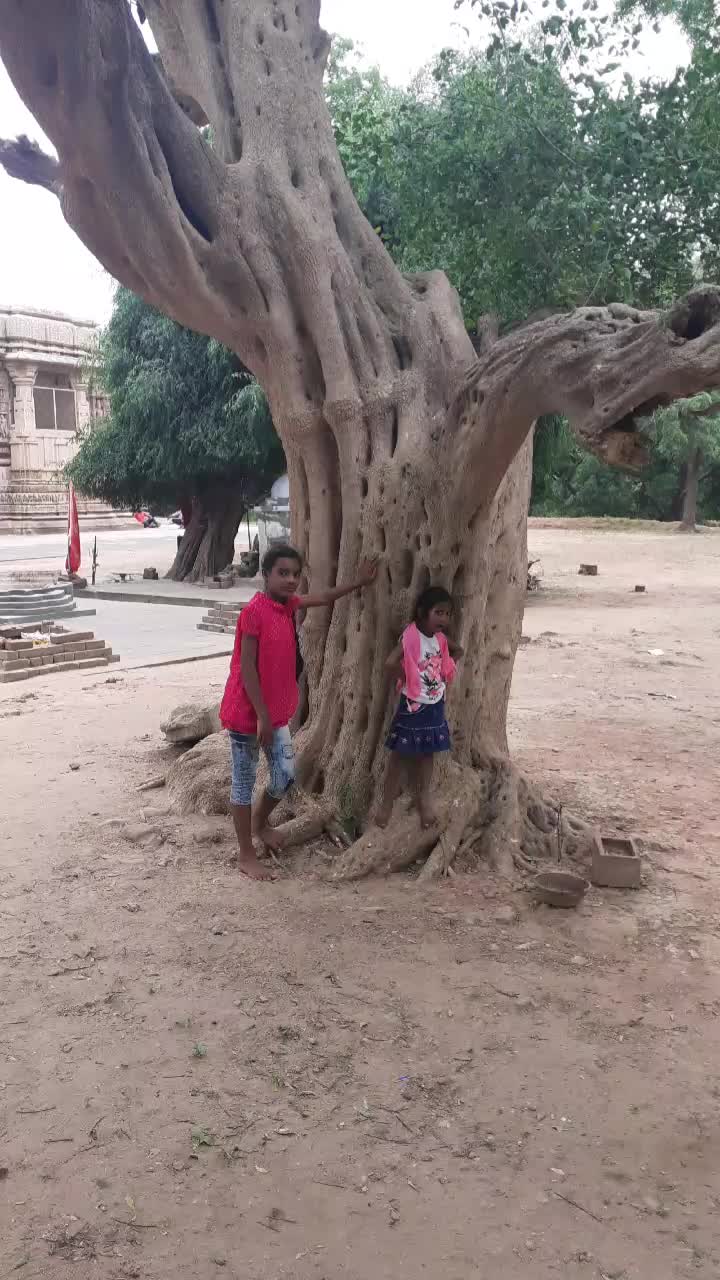 @roshni___63