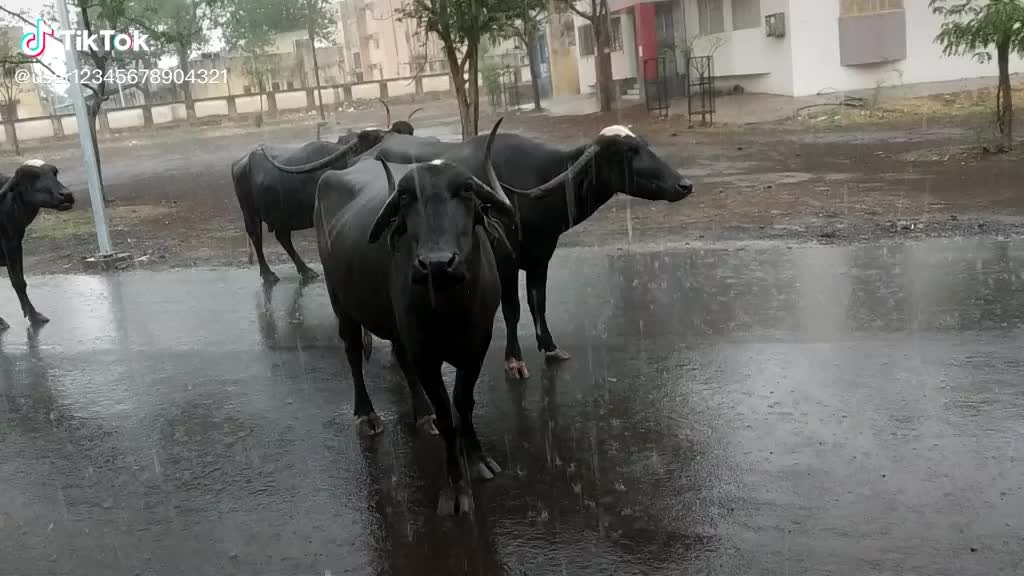 @ରଞନ କୁମାର ପରିଡା