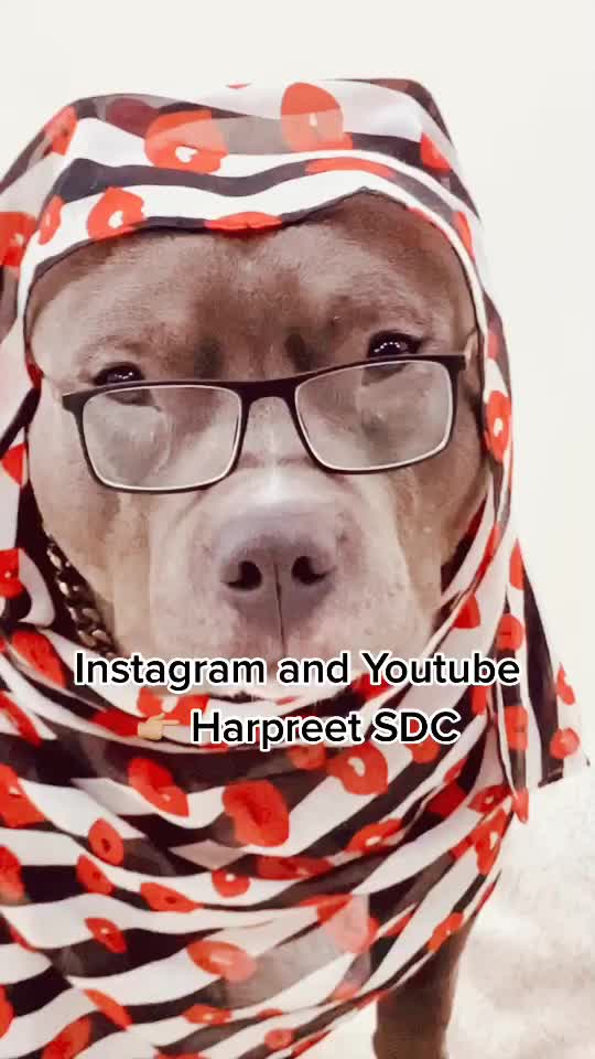 @HarpeetSDC