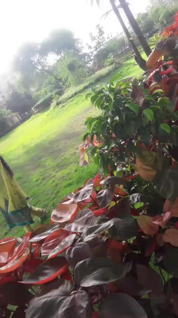 @naaz910201