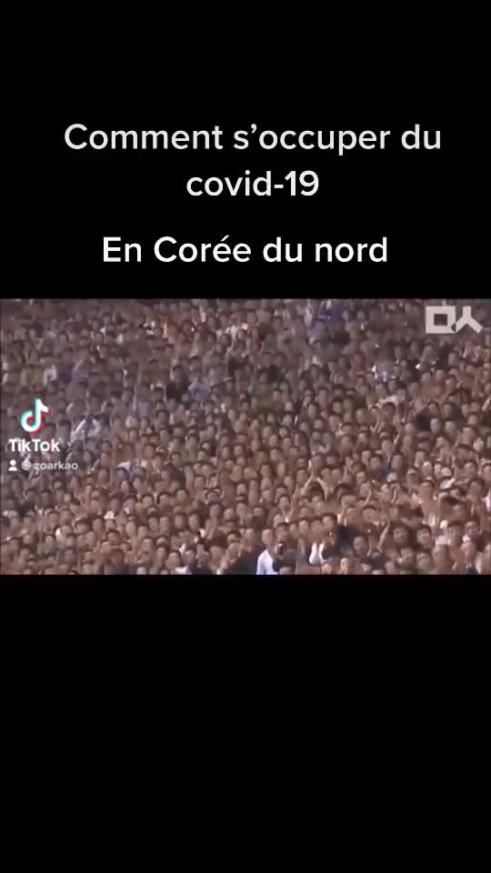 @Kneonlite