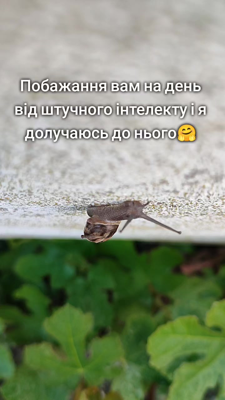 @Оксана Семак