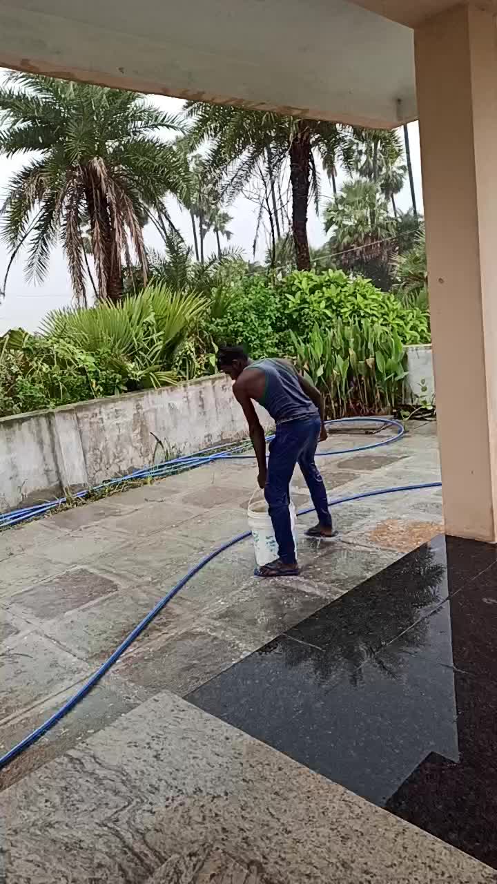 @bunny