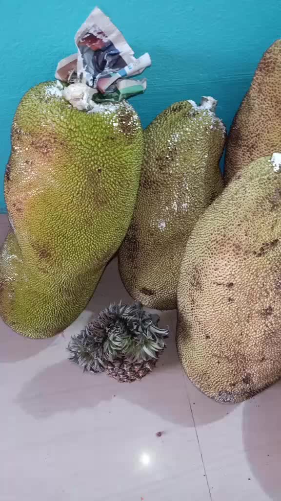 @Alibha 6727