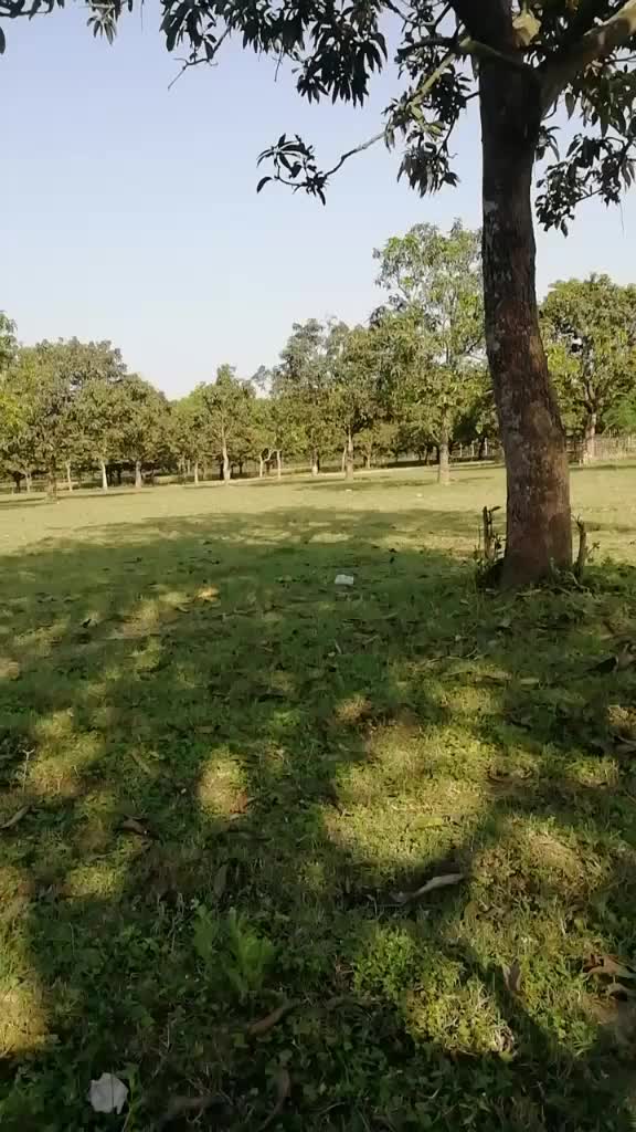 @Manoj Mandal