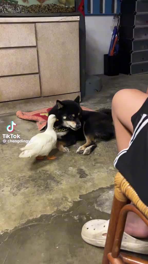 @一起拯救失學少年8+9