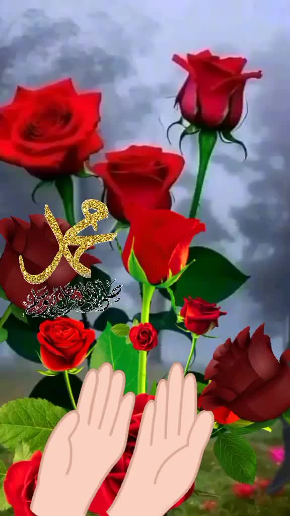 @☆𝕂𝔸ℝ𝔸ℂ𝔸.➳ ❦დ21=
