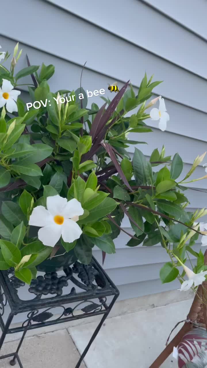@nodah4020