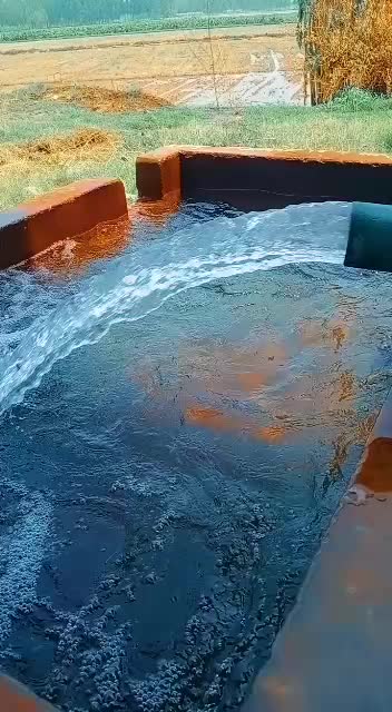 @ਸਰੋਏ ਸਾਬ