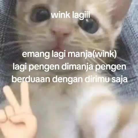 @๐๐๐๐๐๐๐๐.