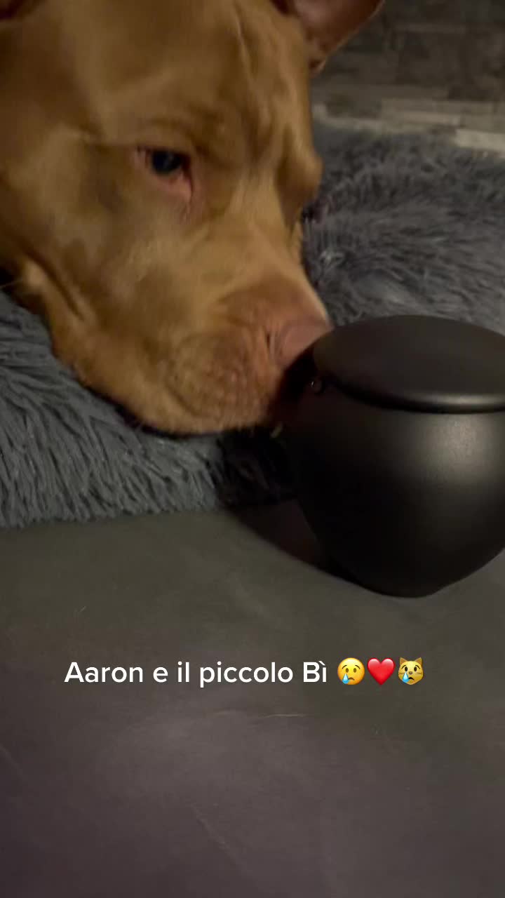 @Aaron