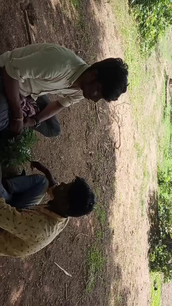@prabujogi