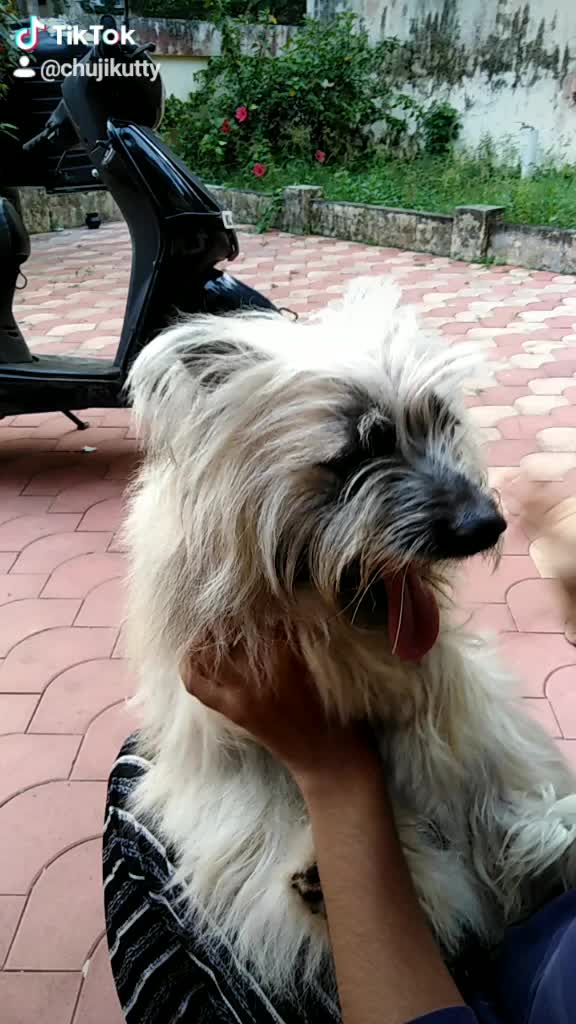 @_Sruthy_