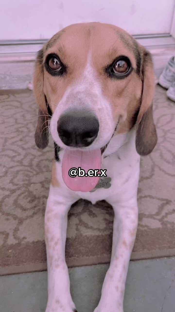 @Berx