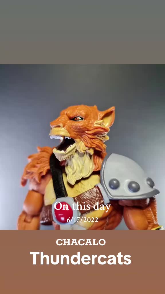 @cooltoyslatino
