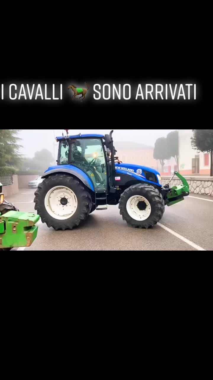 @Alessandro Mano898