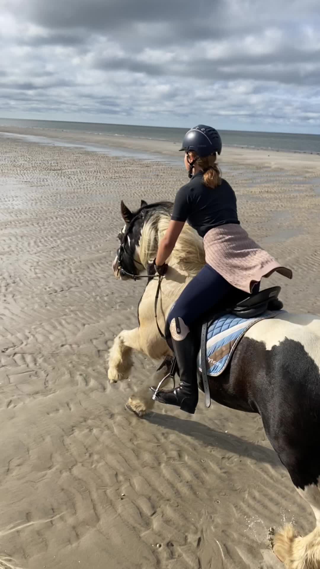 @reiterhof.andresen.amrum