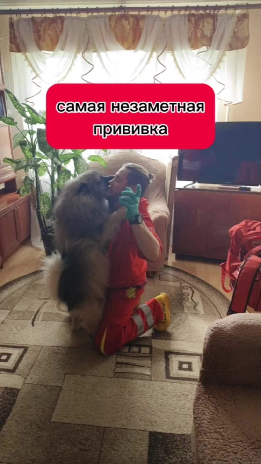 @slavrus_vet