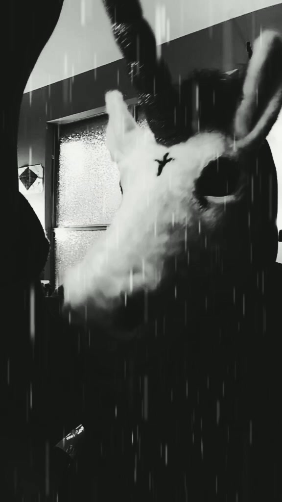 @badunicornisbad