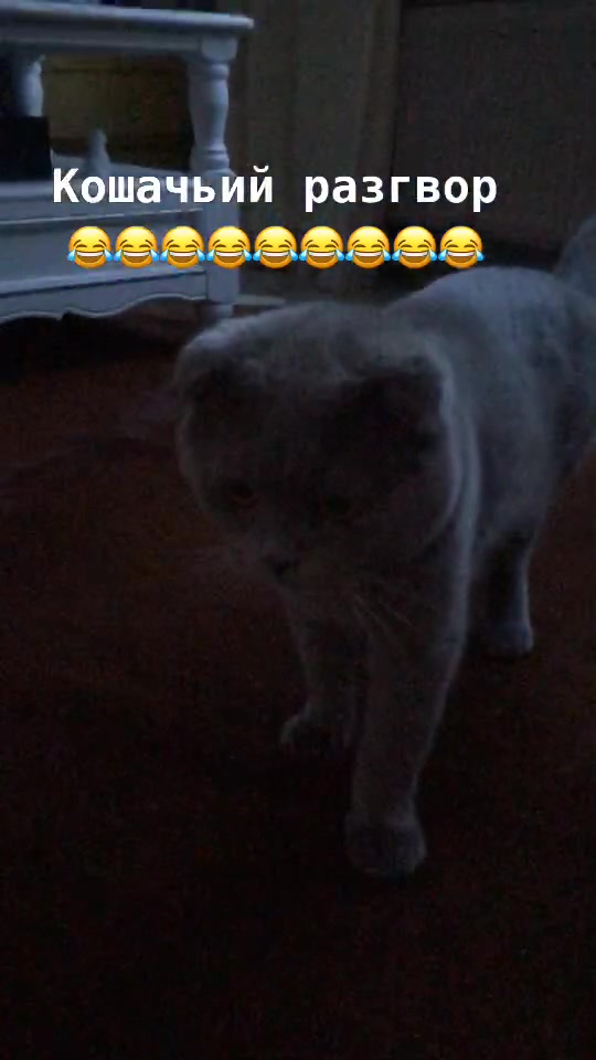 @Дарья Николаева