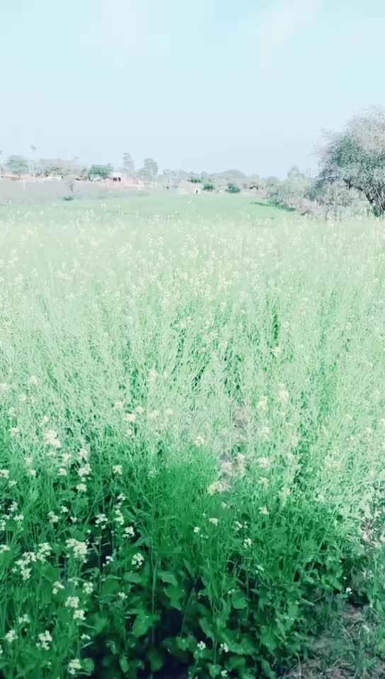 @user1609875466040