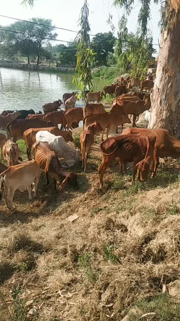 @माँ 😘 का लाडला 💪💪