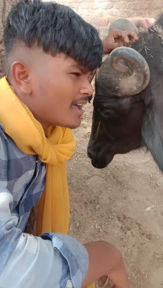 @Hardeepnangla Garti