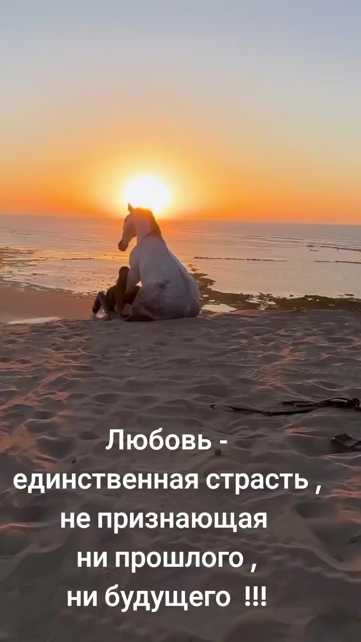 @Ангел дарит любовь
